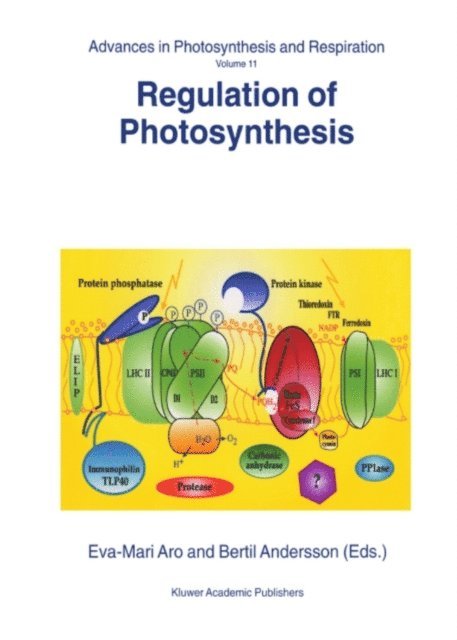 B. Andersson, Eva-Mari Aro - Regulation of Photosynthesis, E-bok