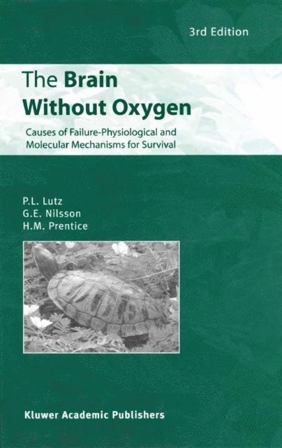Brain Without Oxygen