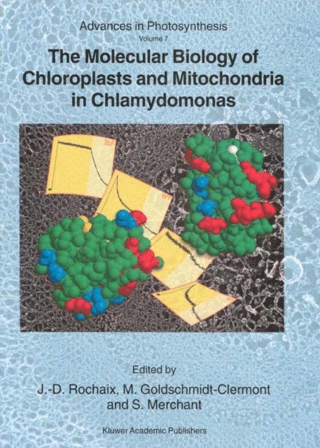 Sabeeha Merchant, M. Goldschmidt-Clermont, J.-D. Rochaix - Molecular Biology of Chloroplasts and Mitochondria in Chlamydomonas, E-bok