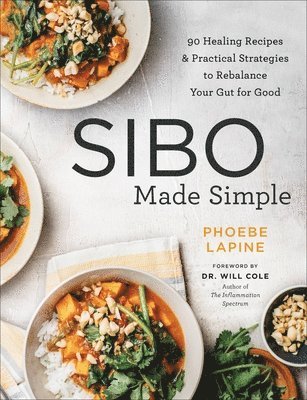 Phoebe Lapine - SIBO Made Simple, Häftad