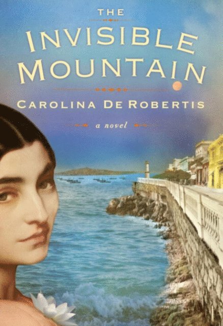 Carolina De Robertis - Invisible Mountain, E-bok