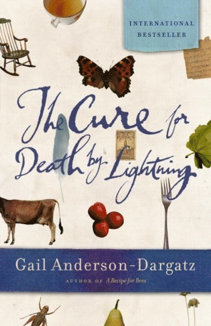 Gail Anderson-Dargatz - Cure For Death By Lightning, E-bok
