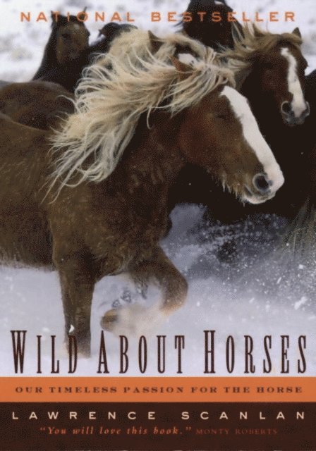 Lawrence Scanlan - Wild About Horses, E-bok