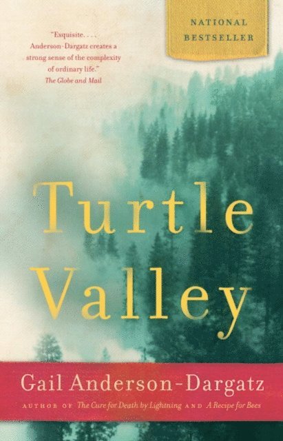 Gail Anderson-Dargatz - Turtle Valley, E-bok