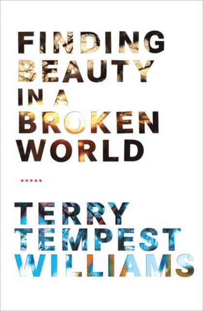 Terry Tempest Williams - Finding Beauty in a Broken World, E-bok