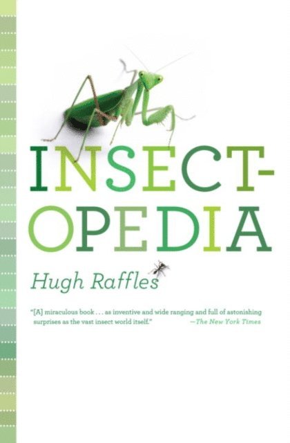 Hugh Raffles - Insectopedia, E-bok