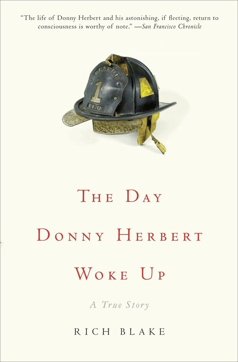 Rich Blake - Day Donny Herbert Woke Up, Häftad