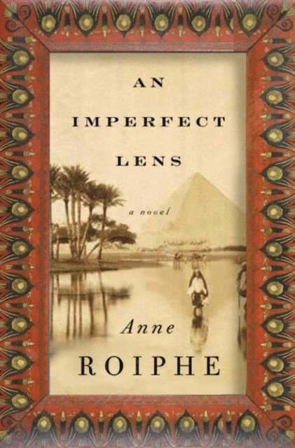 Anne Roiphe - Imperfect Lens, E-bok