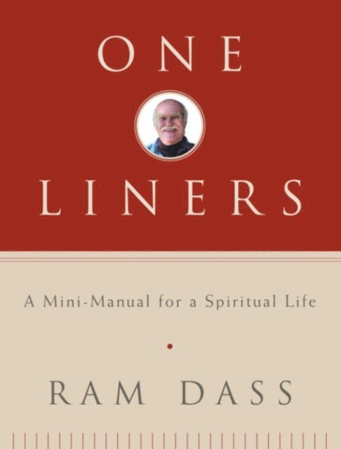 Ram Dass - One-Liners, E-bok