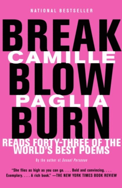 Camille Paglia - Break, Blow, Burn, E-bok