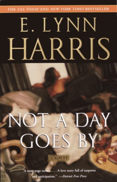 E. Lynn Harris - Not a Day Goes By, E-bok