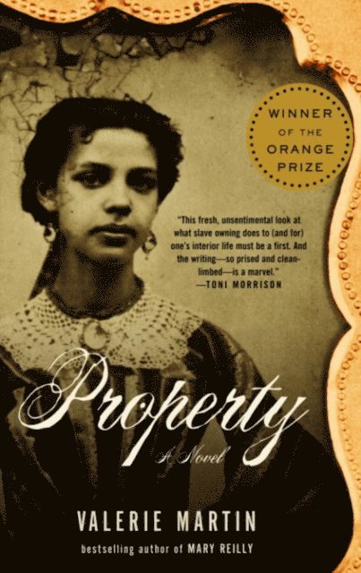 Valerie Martin - Property, E-bok