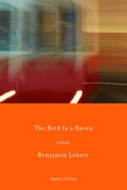 Benjamin Lebert - Bird Is a Raven, E-bok