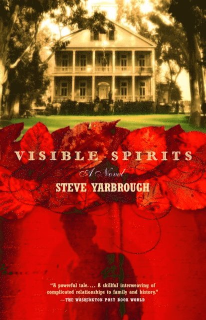 Steve Yarbrough - Visible Spirits, E-bok