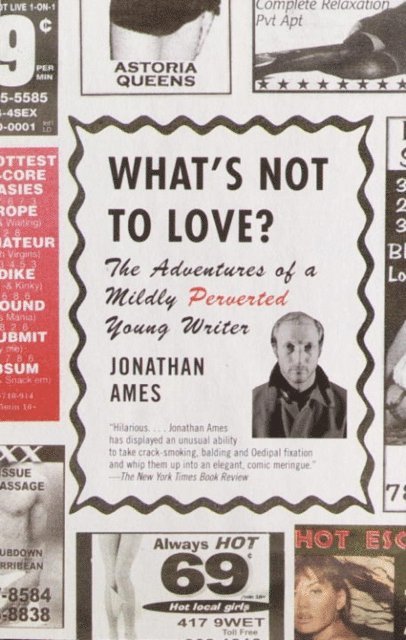 Jonathan Ames - What's Not to Love?, E-bok