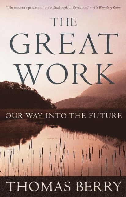 Thomas Berry - Great Work, E-bok