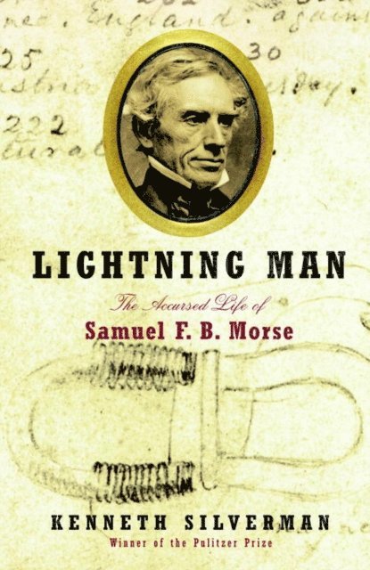Kenneth Silverman - Lightning Man, E-bok
