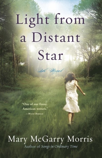 Mary McGarry Morris - Light from a Distant Star, E-bok