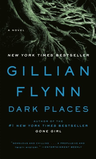 Gillian Flynn - Dark Places, E-bok