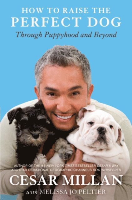 Melissa Jo Peltier, Cesar Millan - How to Raise the Perfect Dog, E-bok