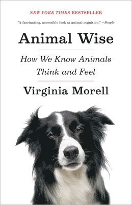 Virginia Morell - Animal Wise: How We Know Animals Think and Feel, Häftad
