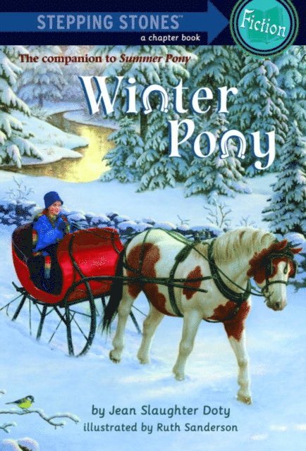 Jean Slaughter Doty - Winter Pony, E-bok