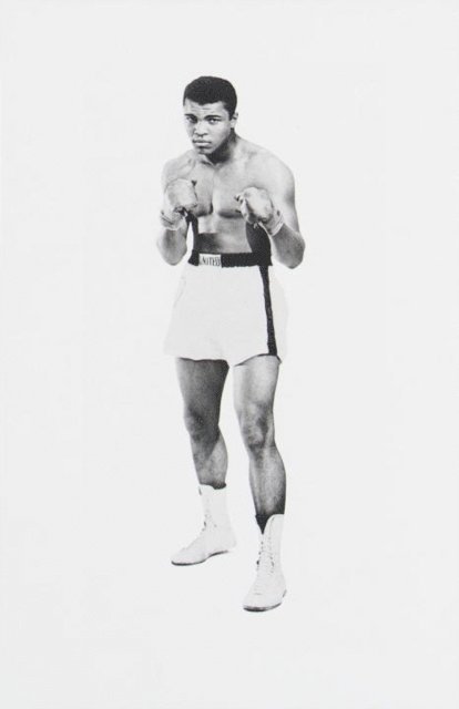 Jan Philipp Reemtsma - More Than a Champion, E-bok