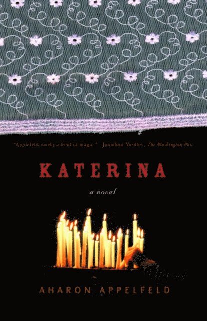 Aharon Appelfeld - Katerina, E-bok