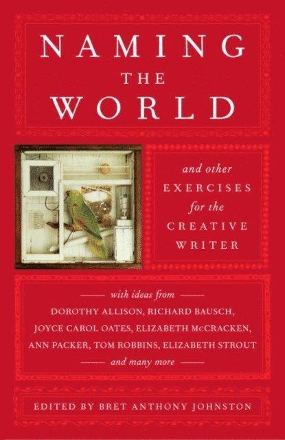 Bret Anthony Johnston - Naming the World, E-bok