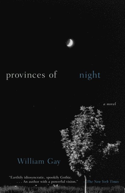 William Gay - Provinces of Night, E-bok
