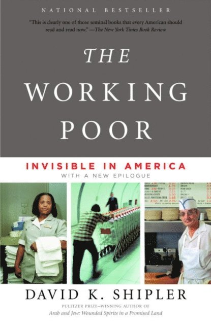 David K. Shipler - Working Poor, E-bok