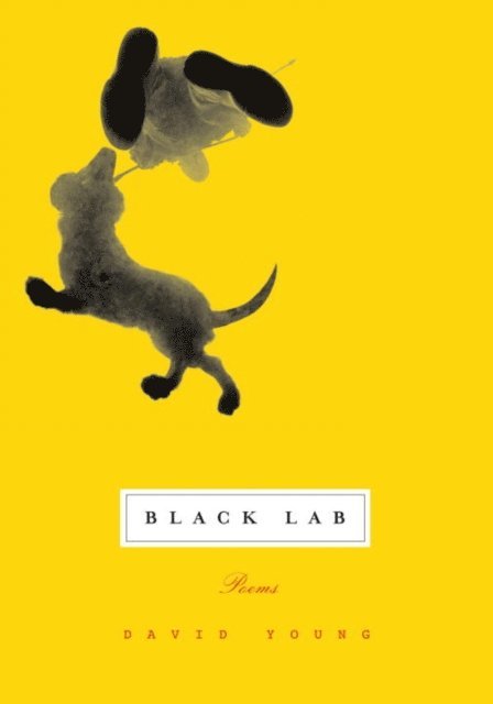 David Young - Black Lab, E-bok