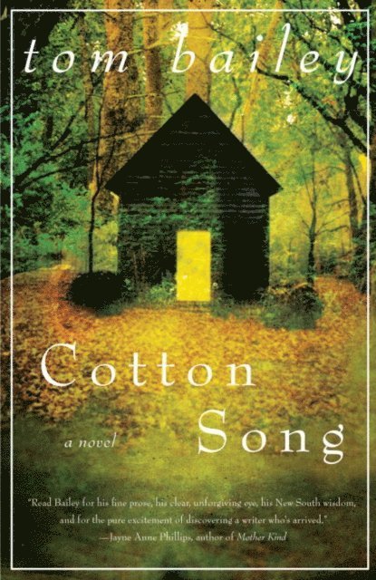 Tom Bailey - Cotton Song, E-bok
