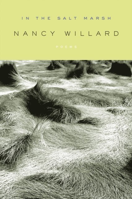 Nancy Willard - In the Salt Marsh, E-bok