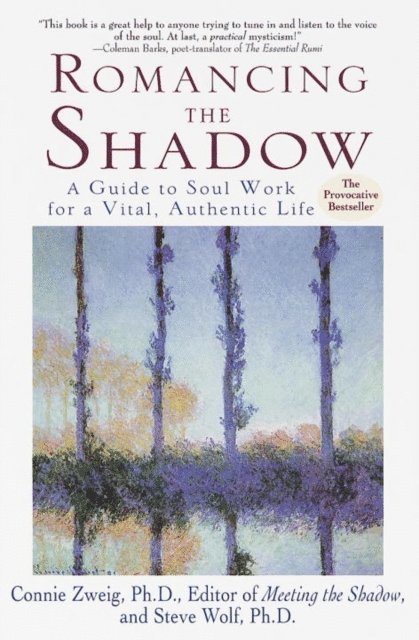 Steve Wolf, PhD Connie Zweig - Romancing the Shadow, E-bok