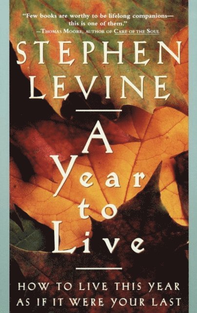 Stephen Levine - Year to Live, E-bok