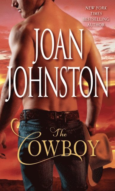 Joan Johnston - Cowboy, E-bok
