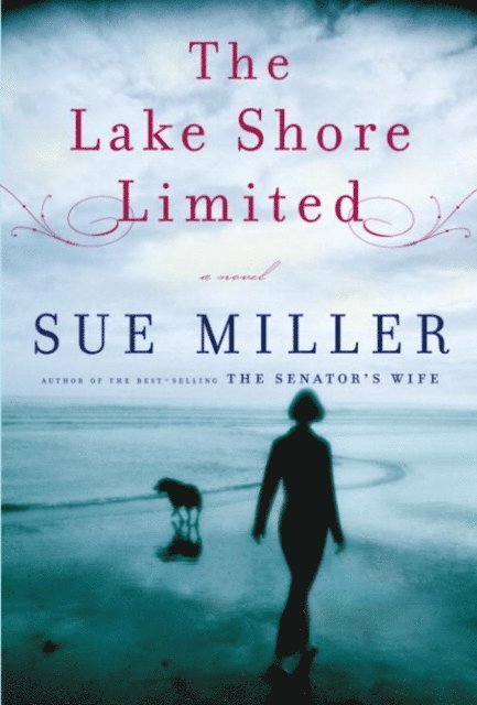 Sue Miller - Lake Shore Limited, E-bok