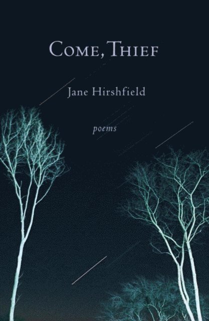 Jane Hirshfield - Come, Thief, E-bok