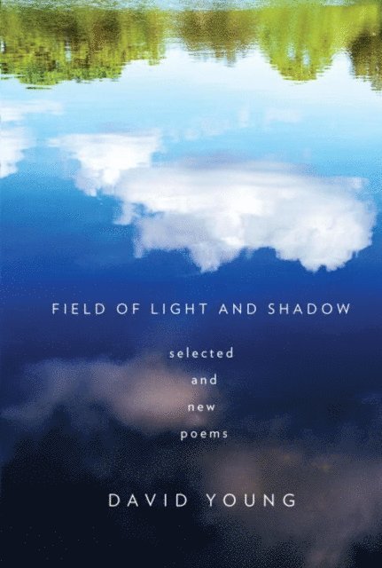 David Young - Field of Light and Shadow, E-bok
