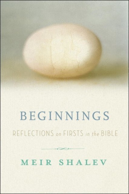 Meir Shalev - Beginnings, E-bok