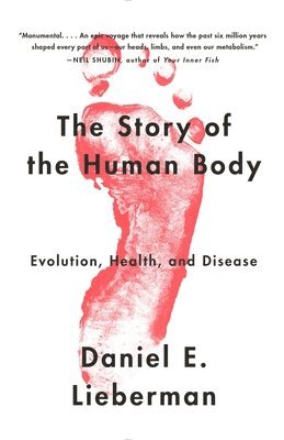 Daniel E. Lieberman - The Story of the Human Body: Evolution, Health, and Disease, Häftad