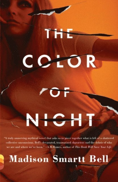 Madison Smartt Bell - Color of Night, E-bok