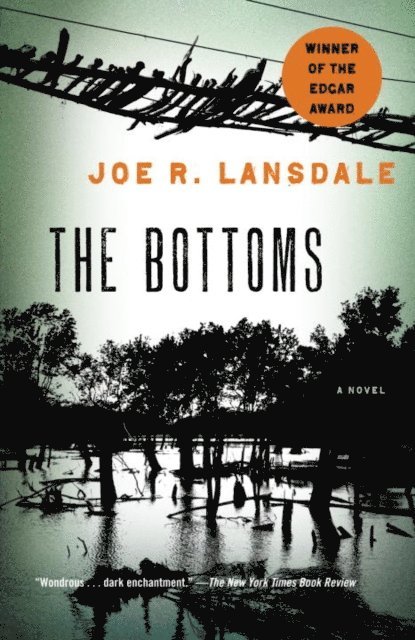 Joe R. Lansdale - Bottoms, E-bok