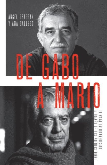 Ana Gallego, Angel Esteban - De Gabo a Mario, E-bok