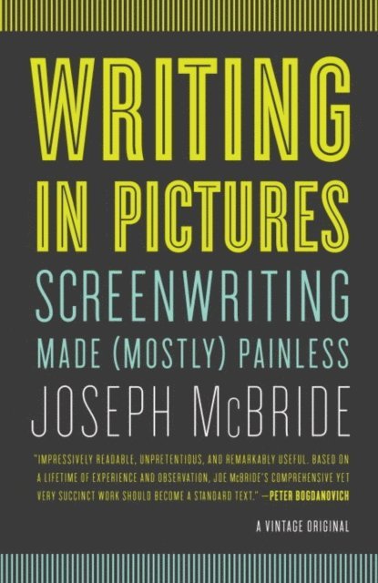 Joseph McBride - Writing in Pictures, E-bok