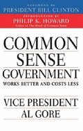 Common Sense Government