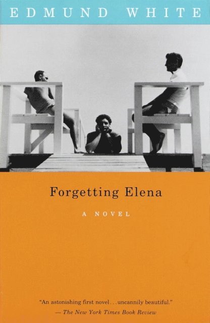 Edmund White - Forgetting Elena, E-bok
