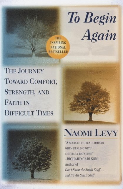 Naomi Levy - To Begin Again, E-bok