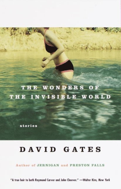 David Gates - Wonders of the Invisible World, E-bok